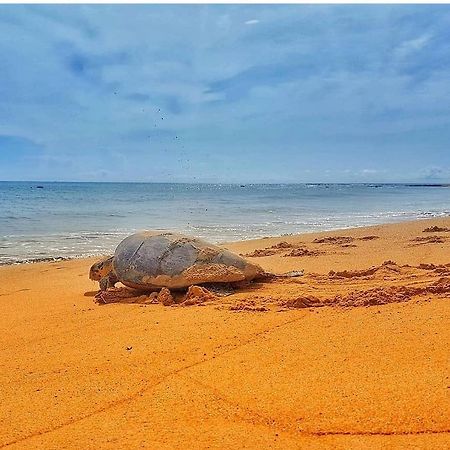 Pousada Costa Dourada Baia Formosa  Bagian luar foto