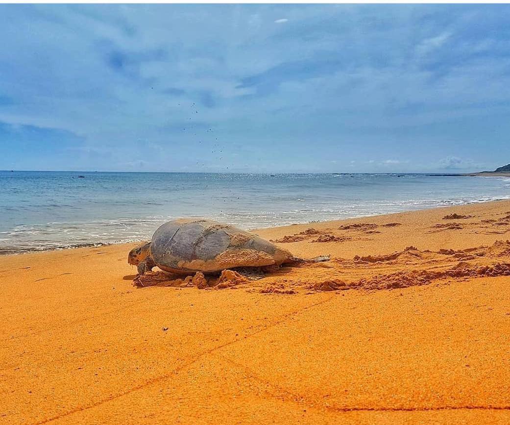 Pousada Costa Dourada Baia Formosa  Bagian luar foto